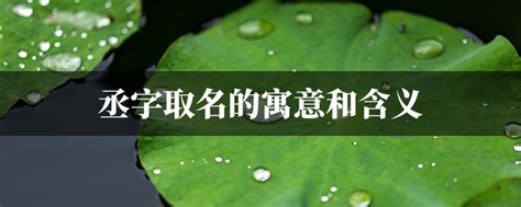 丞的意思名字|丞字取名的寓意